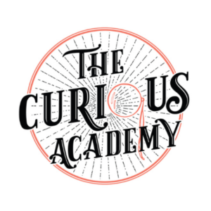 Skills Bootcamps with The Curious Academy